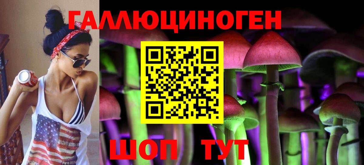 Галлюциногенные грибы Psilocybe Черняховск